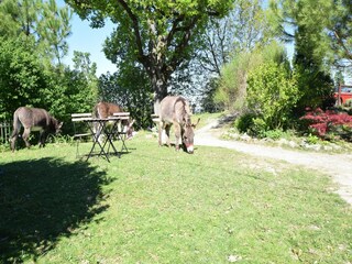 Casa de vacaciones Portes-en-Valdaine Grabación al aire libre 15