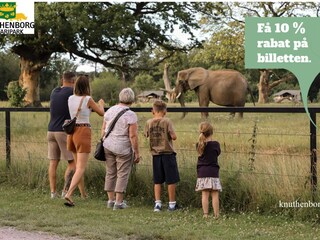 Vakantiepark Marielyst  42