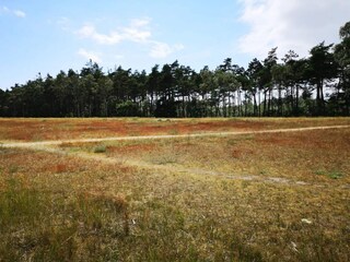 Parco vacanze Marielyst  78