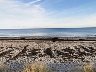 Parc de vacances Marielyst  39