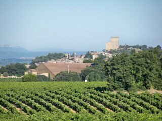 Vakantiehuisje Montségur-sur-Lauzon Omgeving 25