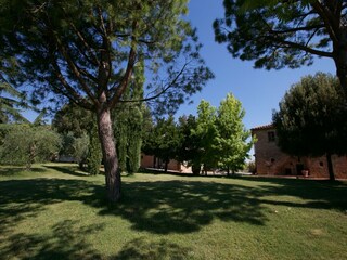 Farmhouse Riccio Outdoor Recording 9