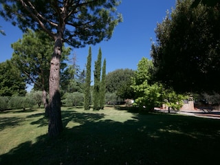 Boerderij Riccio Buitenaudio-opname 9