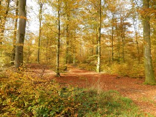 Appartement Bouillon Omgeving 16