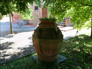 Farmhouse Riccio Outdoor Recording 12