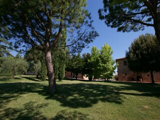 Farmhouse Riccio Outdoor Recording 13