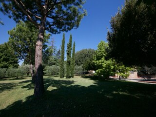 Farmhouse Riccio Outdoor Recording 15