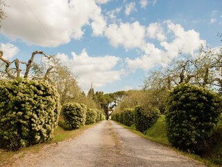 Farmhouse Riccio Environment 31