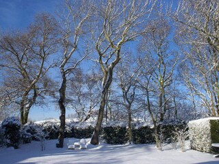Casa per le vacanze Burgh-Haamstede Registrazione all'aperto 7
