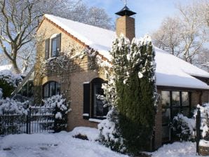 Ferienhaus Schouwse Duin - Burgh-Haamstede - image1