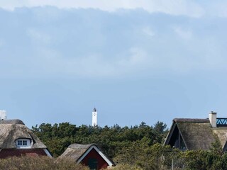 Vakantiehuis Blåvand  53