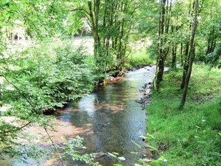 Holiday house Paliseul Environment 30