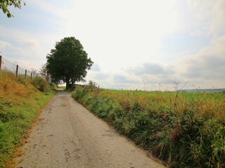 Casa vacanze Paliseul Ambiente 31