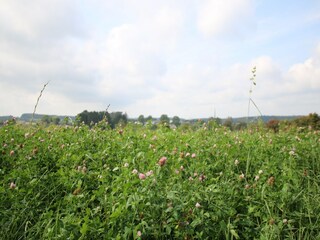 Casa vacanze Paliseul Ambiente 33