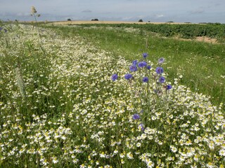 Ferienhaus Daverdisse Umgebung 37