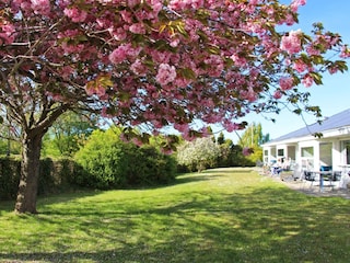 Ferienpark Svaneke Außenaufnahme 2