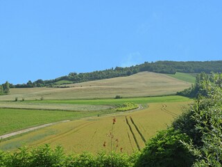 Villa Lombez Buitenaudio-opname 7