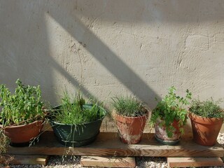 Villa Lombez Buitenaudio-opname 10