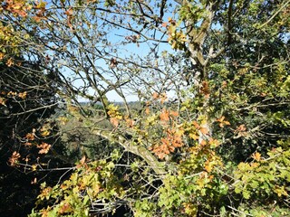 Maison de vacances Somme-Leuze Enregistrement extérieur 10