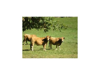 Villa Marciac Environnement 32