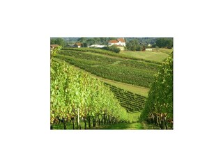 Villa Marciac Environment 27