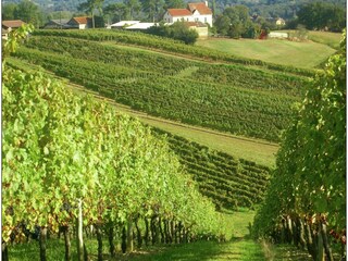 Villa Marciac Omgeving 39