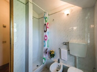 Fattoria San Gimignano Caratteristiche 10