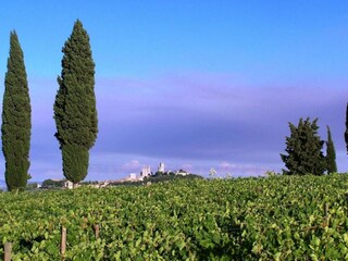 Type de propriété : Ferme San Gimignano Environnement 29