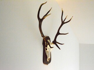 Vakantiehuis La Roche-en-Ardenne  29