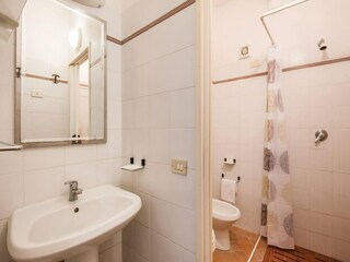 Fattoria San Gimignano Caratteristiche 12