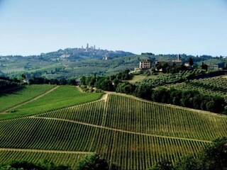 Boerderij San Gimignano Omgeving 15