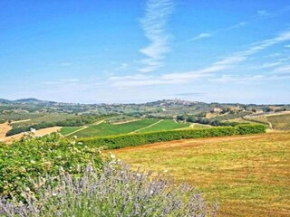 Type de propriété : Ferme San Gimignano Environnement 25