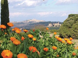 Boerderij San Gimignano Omgeving 27