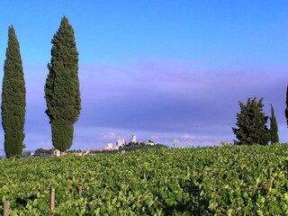 Bauernhof San Gimignano Umgebung 28