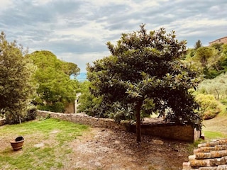 Farmhouse San Gimignano Environment 31