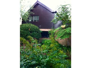 Apartment Bergen (Holland) Outdoor Recording 3