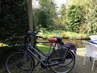 Apartment Bergen (Holland) Outdoor Recording 9