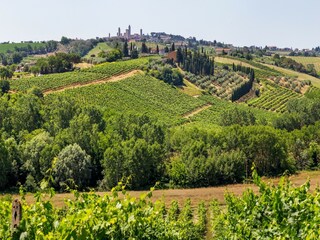 Farmhouse San Gimignano Environment 38