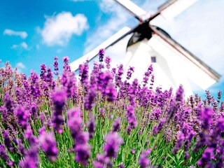 Vakantiepark Svaneke  14