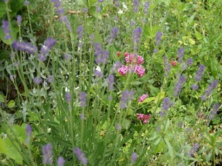 Holiday house Lavaudieu  22