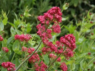 Vakantiehuis Lavaudieu  24