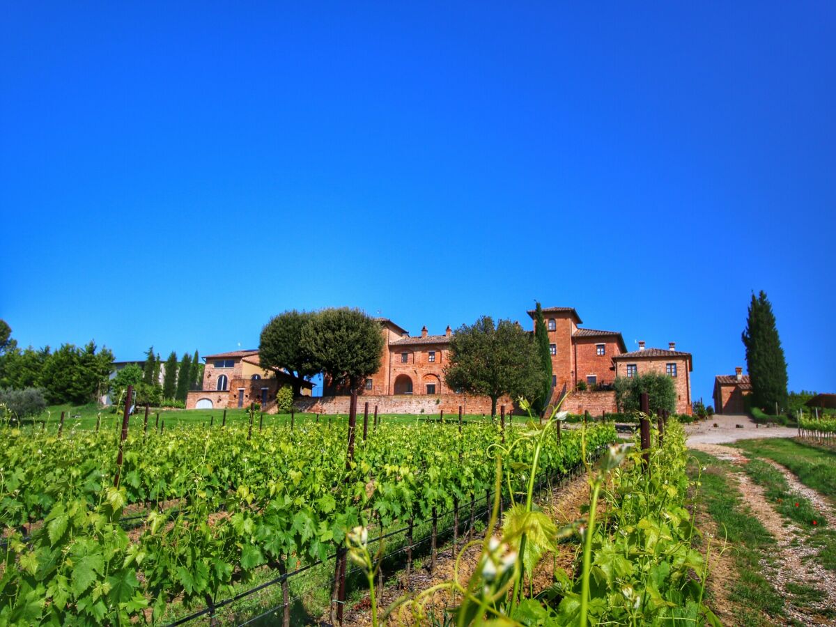 Fattoria Valiano Registrazione all'aperto 1