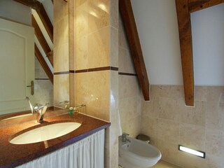 Type de propriété : Chalet Bouzic Équipement 21