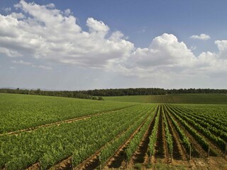 Farmhouse Valiano Environment 33