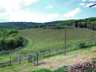 Farmhouse Valiano Environment 31