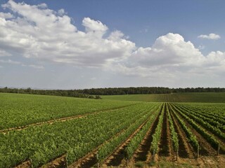 Farmhouse Valiano Environment 32
