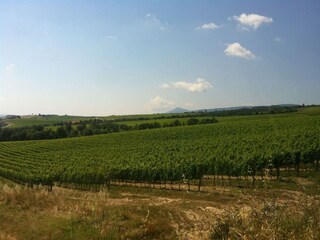 Farmhouse Valiano Environment 29