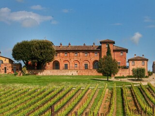 Fattoria Valiano Registrazione all'aperto 18