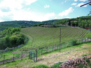 Fattoria Valiano Ambiente 30
