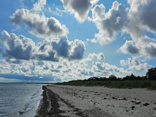 Parco vacanze Marielyst  86